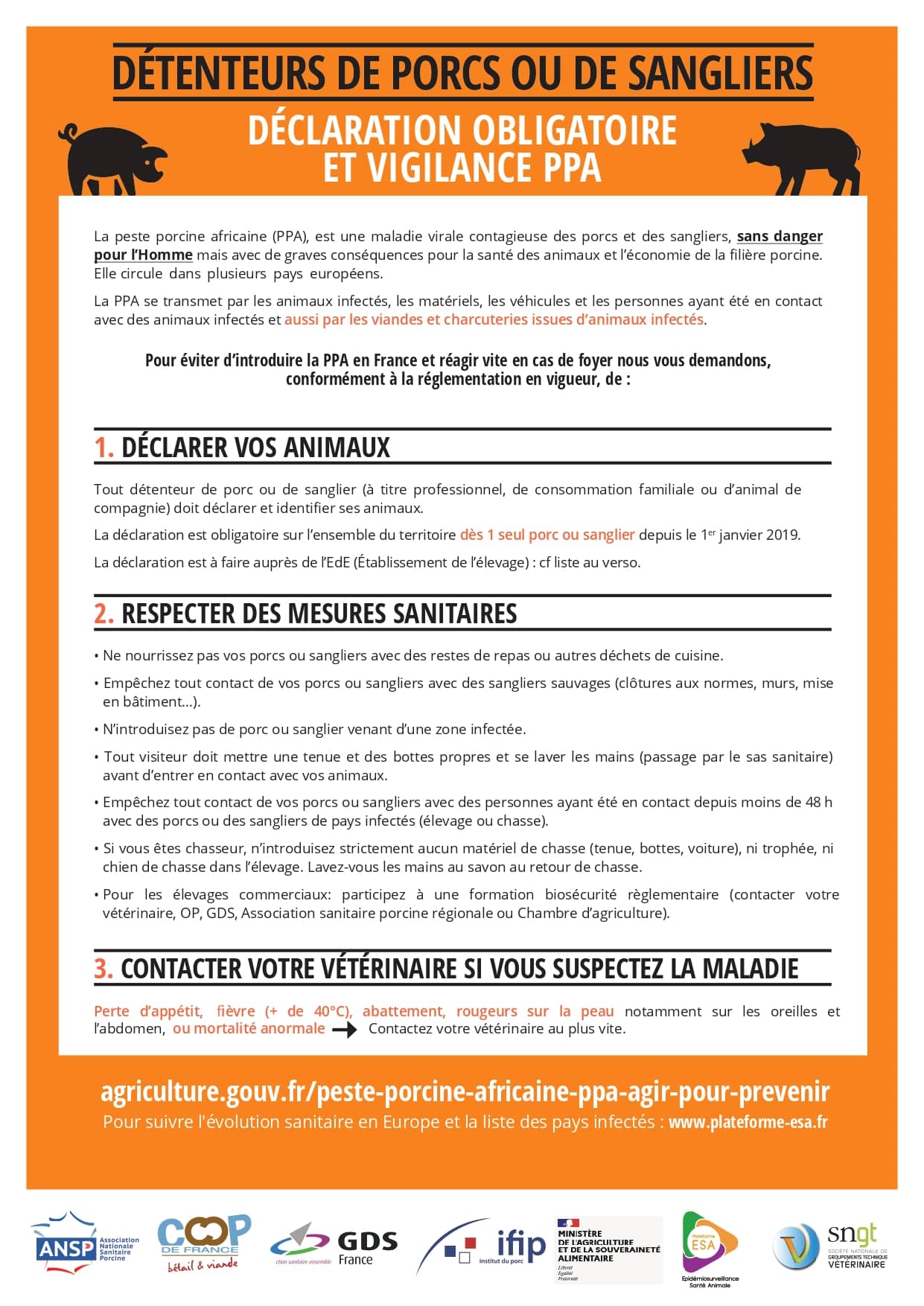 20240708_ppa_communication_detenteurs_porcins_page-0001.jpg