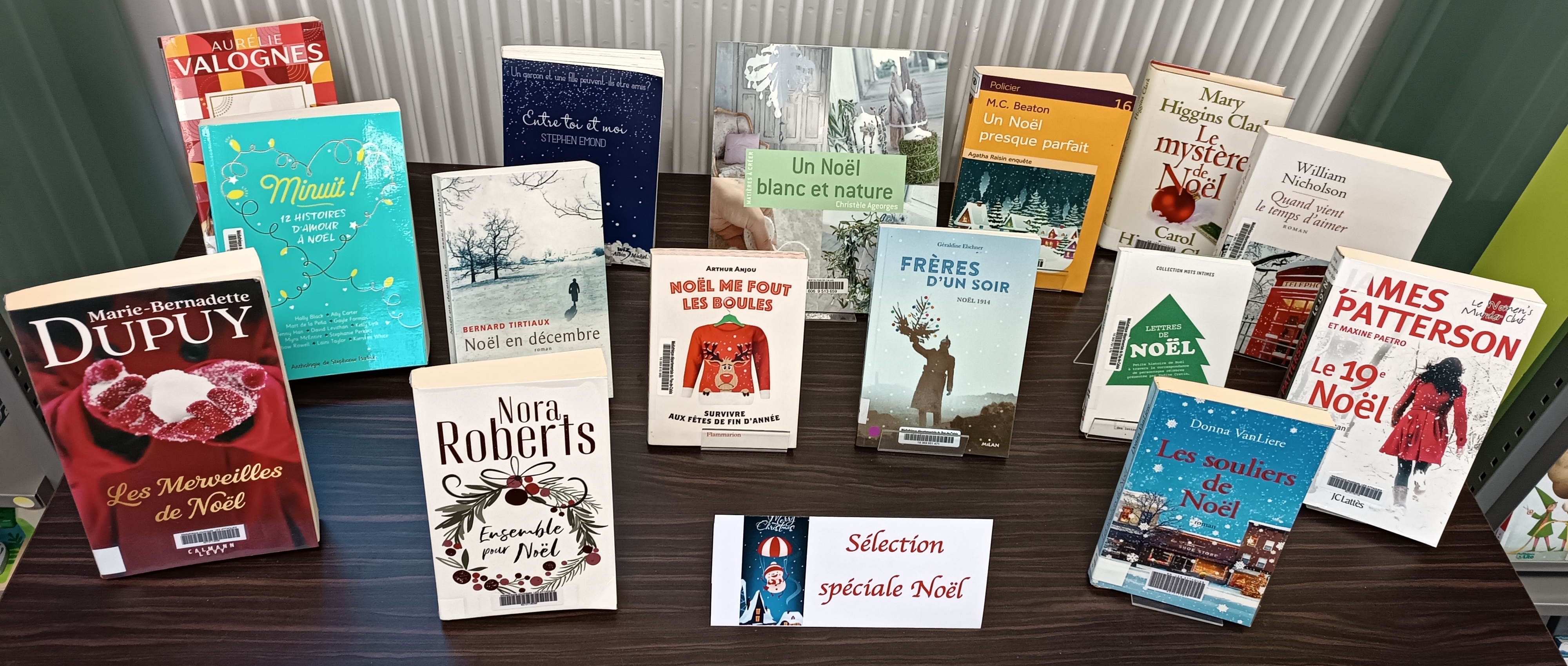 IMG_20251202_164551 (002).jpg