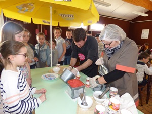 dégustation glace artisanale