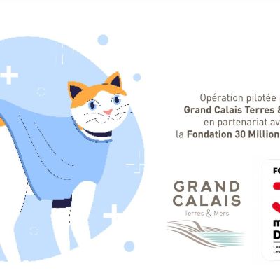 Opération de trappage des chats errants pour stérilisation