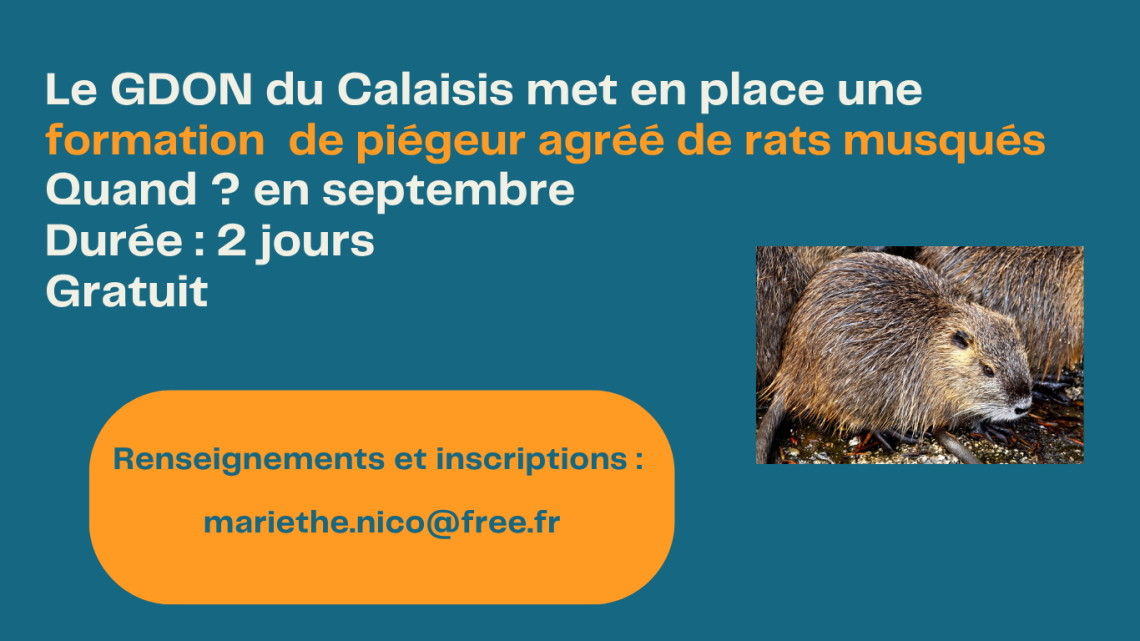 Les Attaques - Formation avec le GDON
